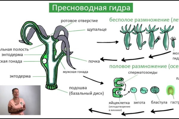 Короткая ссылка на кракен