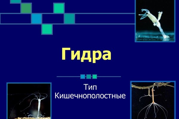 Как зайти в кракен