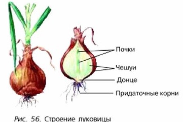 Кракен даркнет маркетплейс